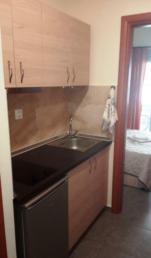 Villa Georgia Beach Neos Marmaras Zewnętrze zdjęcie